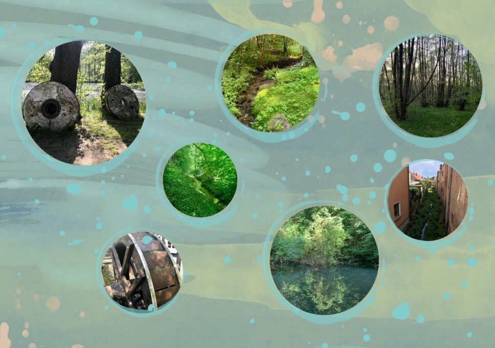 Spaziergang: Auf den Spuren des Wassers in Bad Belzig
